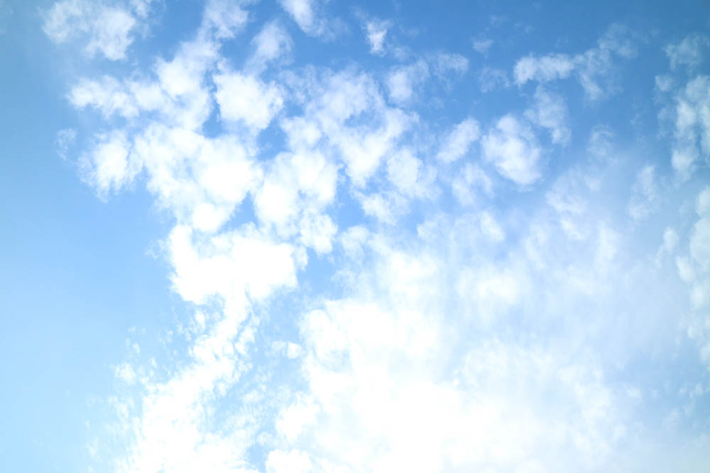 AndreaMai_Yorkville-3844