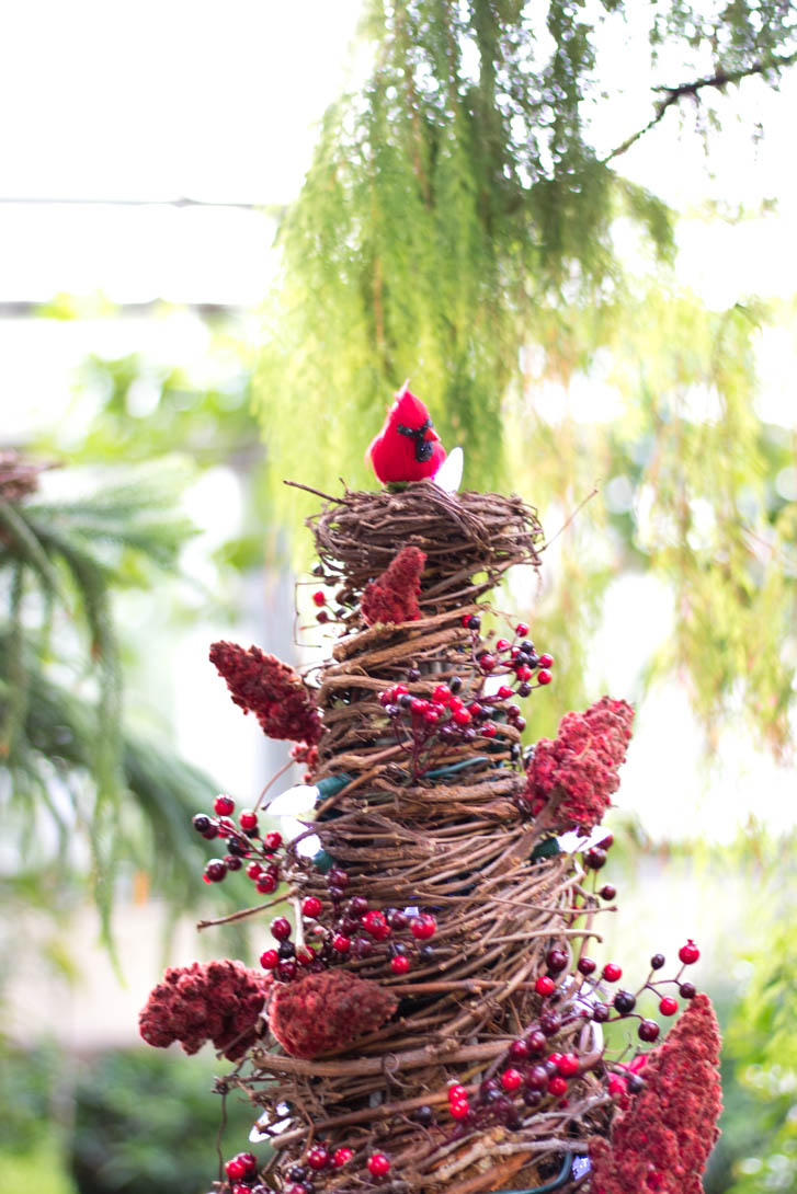 AndreaMai_garden-6987