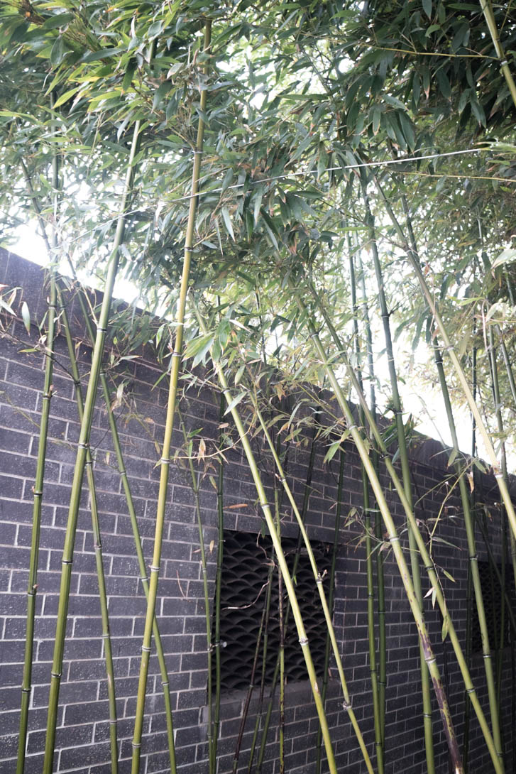 AndreaMai_Quingdao-0472