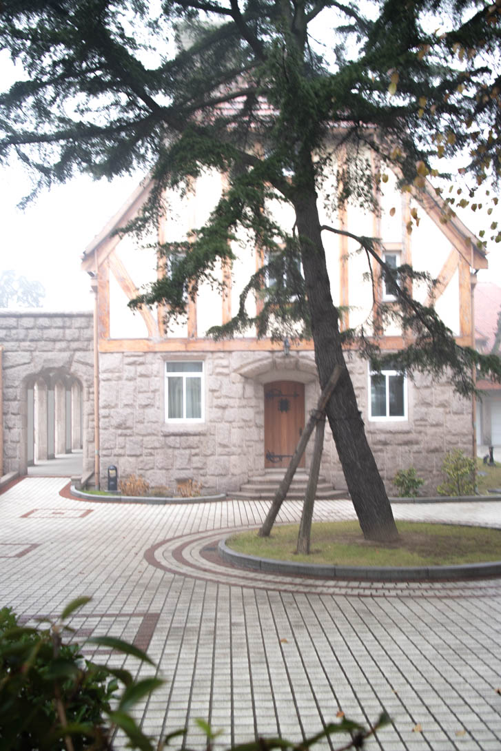 AndreaMai_Quingdao-0479