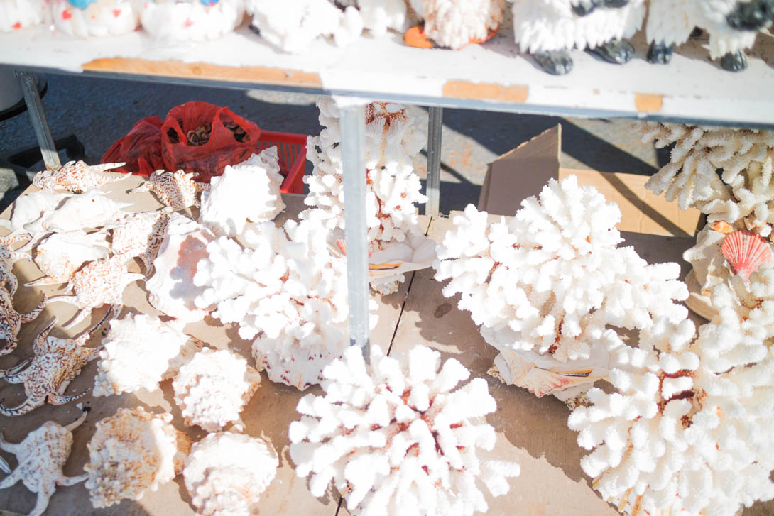 AndreaMai_Quingdao-9789