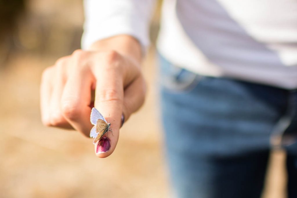 AndreaMai_butterfly-8510